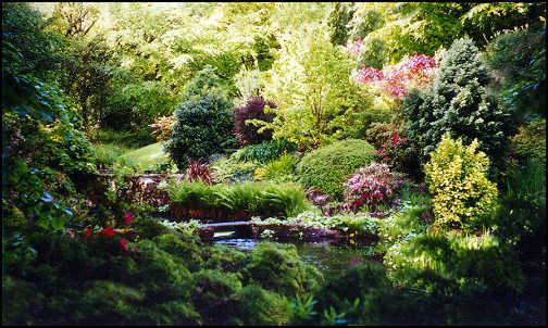 garden example.jpg
