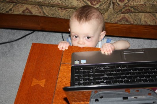 44895_446602689546_8364161_n