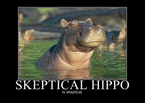 skeptical hippo