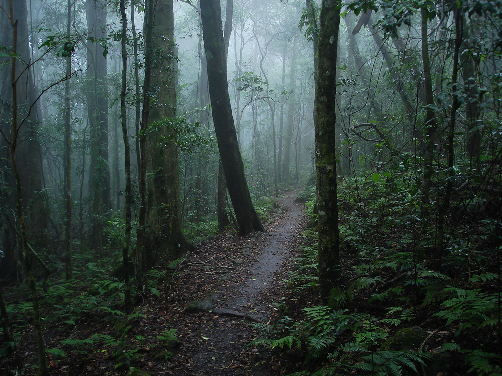 after the rain