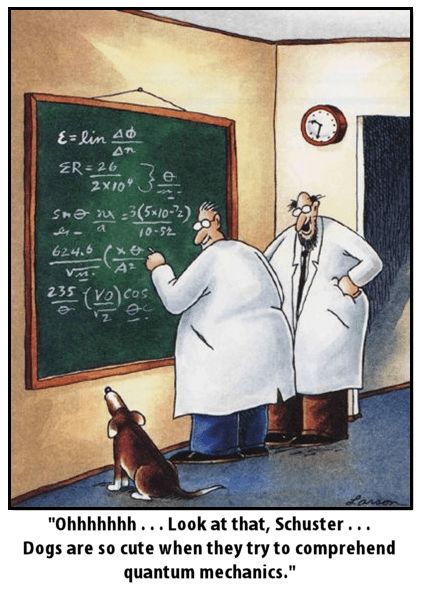 A classic Far Side cartoon in which a dog considers the chalk board that two scientists are using. One says, "Ooooooh....Look at that Schuster....Dogs are so cute when they try to comprehend quantum mechanics."