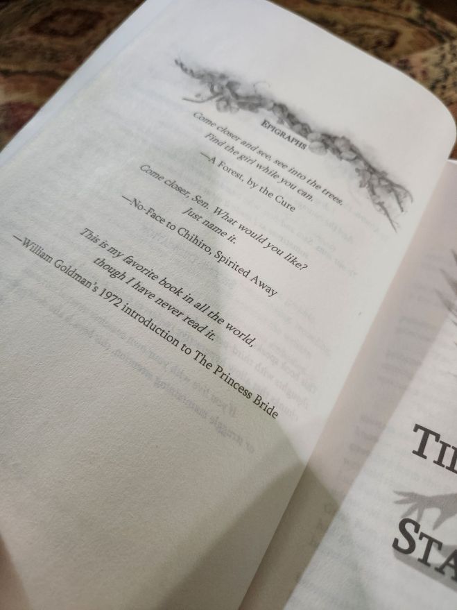 Photo of the Epigraph page from Tildy Silverleaf and the Starfall Omen. Text starts in the 3rd paragraph of the post.
